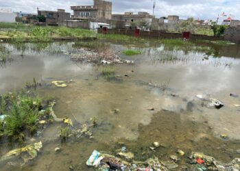 Inondations à Thioffack : Plus de 40 maisons sous les eaux, d’autres effondrées et les Daaras fermés