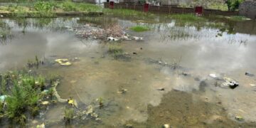 Inondations à Thioffack : Plus de 40 maisons sous les eaux, d&rsquo;autres effondrées et les Daaras fermés