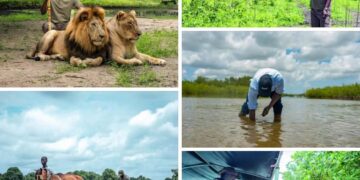 Vacances du Chef de l’État : Bassirou Diomaye Faye dans les îles Saloum