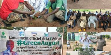 Kaffrine : « World Action « , Reboiser pour l&rsquo;avenir, plus de 1000 arbres plantés