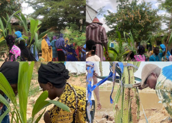 Kaolack : 2e édition du programme « Cadeau Vert » à Cité Médina Kossy 626 arbres et boutures plantés