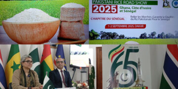 Pakistan Rice Road Show 2025 à Dakar : La sécurité alimentaire et la promotion du riz pakistanais au menu des échanges