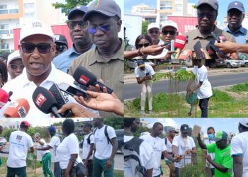 Journée de reboisement : Plus de 100 arbres plantés sur la VDN par le COJOJ Dakar 2026