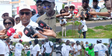Journée de reboisement : Plus de 100 arbres plantés sur la VDN par le COJOJ Dakar 2026