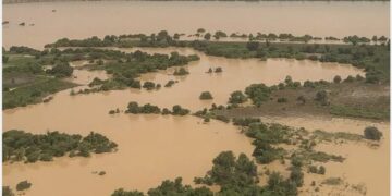 Fleuve Gambie : Remontée des eaux à Kédougou et Mako