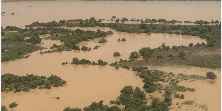 Fleuve Gambie : Remontée des eaux à Kédougou et Mako