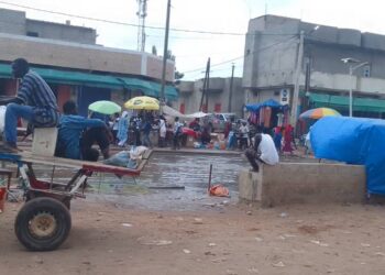 Médina Baye : Un Gamou célébré sous les eaux usées à quelques mètres de » djoullécaye »