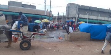Médina Baye : Un Gamou célébré sous les eaux usées à quelques mètres de » djoullécaye »