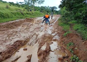 Thioyène, un village qui manque de tout dans la commune de Ndramé Escale