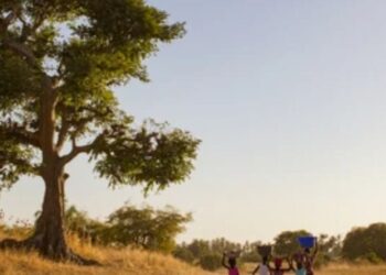 Kaolack – Ndiayéne kadd : Entre absence de soins de santé et fardeau quotidien des femmes