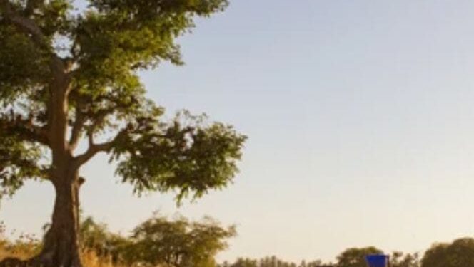 Kaolack – Ndiayéne kadd : Entre absence de soins de santé et fardeau quotidien des femmes