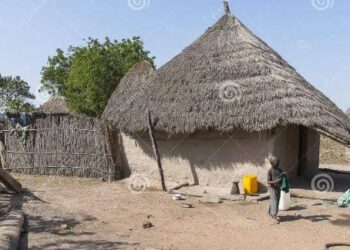 Kaolack : Keur Sérigne Bassirou, un village coupé par le manque d’accès