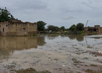 Diamel encore en détresse : Un cri d’alerte face à l’urgence (Abdoulaye Sy)