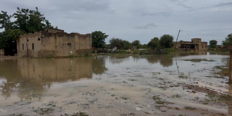Diamel encore en détresse : Un cri d’alerte face à l’urgence (Abdoulaye Sy)