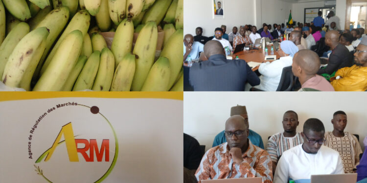 Gel des importations de banane : L’ARM et les acteurs de la filière font le point