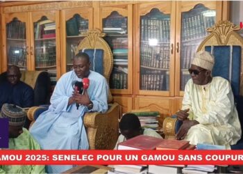 Gamou 2025 à Kaolack : Les assurances de la Senelec pour un bon approvisionnement