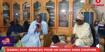Gamou 2025 à Kaolack : Les assurances de la Senelec pour un bon approvisionnement