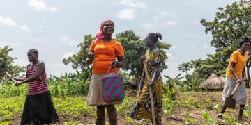 Systèmes agroalimentaires en Afrique : Un nouveau rapport révèle des inégalités de genre