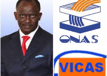 Note de clarification : Affaire Vicas / Cheikh Dieng