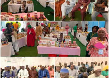 Kaffrine : Journée de lancement du projet Naatal Sine Saloum