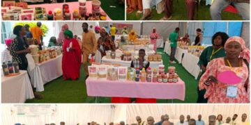 Kaffrine : Journée de lancement du projet Naatal Sine Saloum