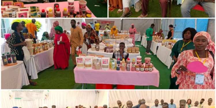 Kaffrine : Journée de lancement du projet Naatal Sine Saloum