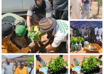 Kaffrine – Ida Mouride : la direction régionale de l’Environnement offre 1.000 gaines pépinières biodégradables