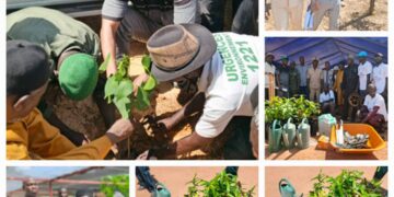 Kaffrine – Ida Mouride : la direction régionale de l’Environnement offre 1.000 gaines pépinières biodégradables