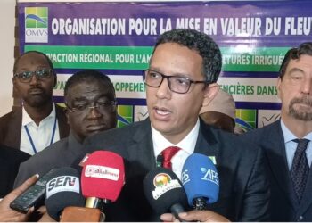 OMVS : La 4ème session du comité de pilotage évalue les avancées du PAFISEM