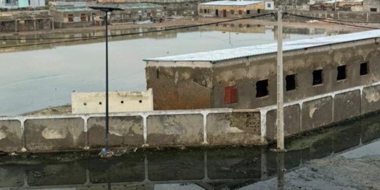 Scolarité en péril à Kaolack : Pape Demba Ndiaye s&rsquo;insurge contre les défaillances