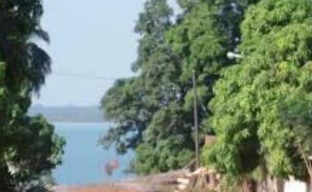 Découverte – Ngana Sira Biaye, le Roi des Baïnoucks et la Mémoire de Djibanar