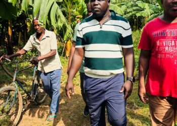 Tambacounda : Plaidoyer pour un meilleur accompagnement du secteur de la Banane, l’appel d’Ousseynou Niane