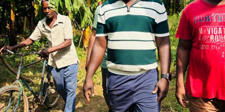 Tambacounda : Plaidoyer pour un meilleur accompagnement du secteur de la Banane, l’appel d’Ousseynou Niane