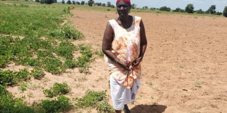 Kaolack : Entre fardeaux sociaux et quête d’indépendance, les femmes rurales soutenues par Diouck Mbaye