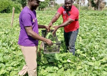 Agriculture durable et inclusive : Passy accueille les Journées Portes Ouvertes de SABS