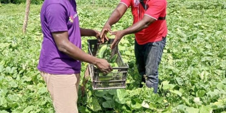 Agriculture durable et inclusive : Passy accueille les Journées Portes Ouvertes de SABS