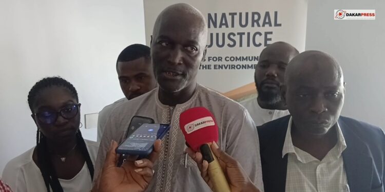 Protection de la nature : Le Réseau National des Défenseurs de l’Environnement s’érige en bouclier