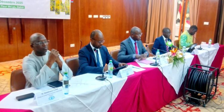 Grande Muraille Verte : Lancement officiel du Projet SURAGGWA pour restaurer 80.000 hectares de terres