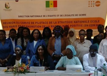 Stratégie nationale École des Maris et de Promotion de la Masculinité positive : Le comité de pilotage évalue les résultats et se projette sur 2030