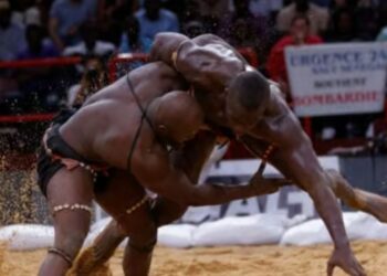 Fédération Sénégalaise de Lutte : Onze candidats en lice pour l’AG du 27 décembre