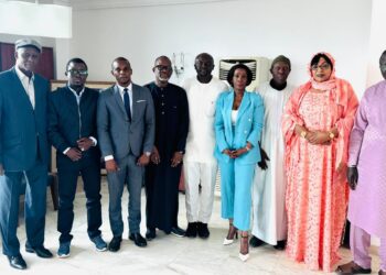 Audience : Une délégation du Réseau Libéral Africain (ALN) pour l’Afrique de l’Ouest reçue par le PDS