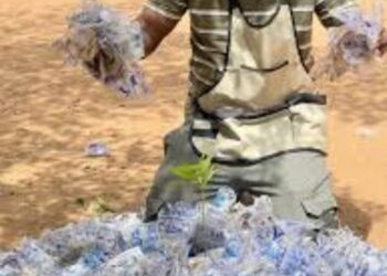 Kaolack : SUURAL JUR, l’Azolla au cœur d’un combat pour la souveraineté alimentaire