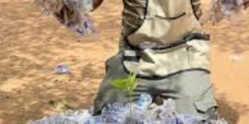 Kaolack : SUURAL JUR, l’Azolla au cœur d’un combat pour la souveraineté alimentaire