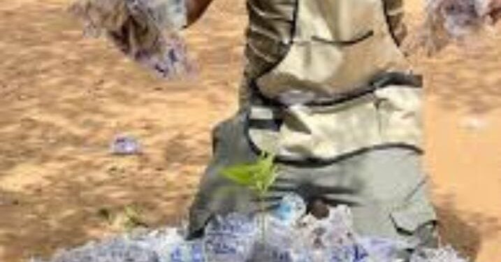 Kaolack : SUURAL JUR, l’Azolla au cœur d’un combat pour la souveraineté alimentaire