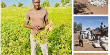 Monde rural : Une initiative privée met fin au calvaire des producteurs d’arachide à Kaffrine
