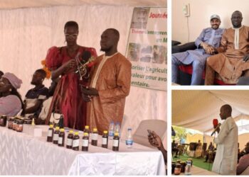 Diarrere : Des partenariats internationaux au service du développement rural