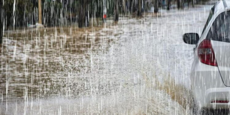 Pluies hors saison au Sénégal : Le spectre de 2002 refait surface