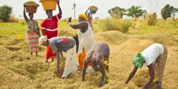 Proparco soutient les femmes rurales du Sénégal avec un financement de 1,3milliard FCFA à VisionFund Sénégal