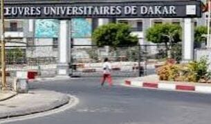 Sacrifier les étudiants, c’est hypothéquer l’avenir du Sénégal
