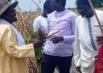 Commercialisation de l’arachide : Les paysans du Saloum dénoncent les promesses non tenues du Premier ministre